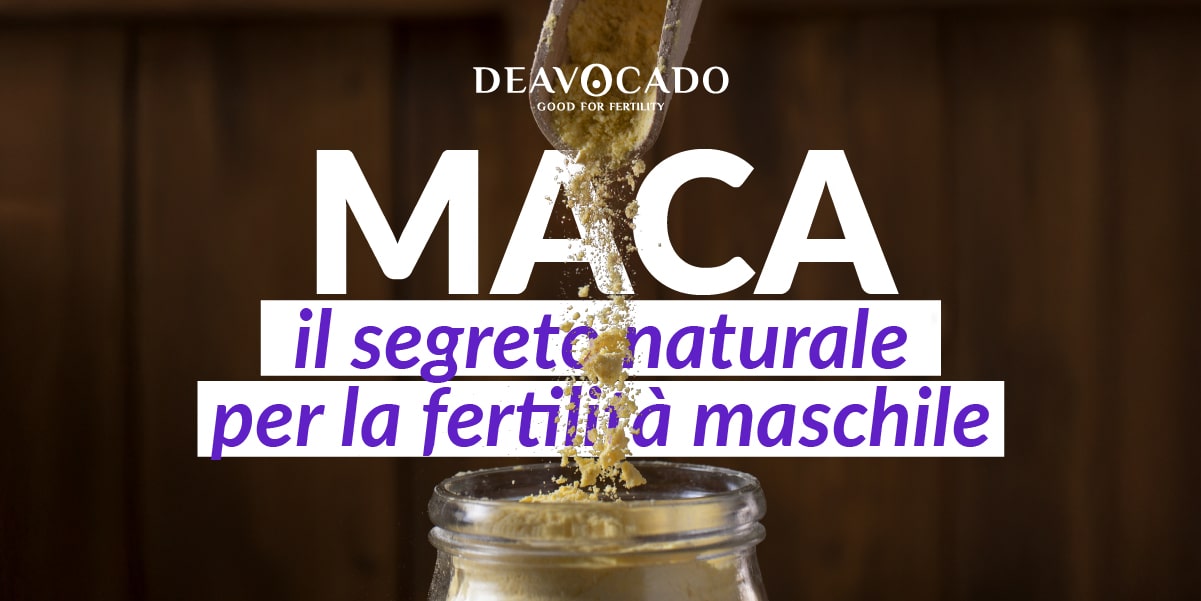 Maca: il segreto naturale per la fertilità maschile